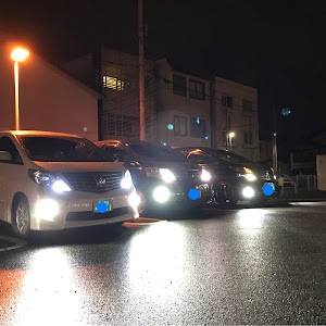 ヴェルファイア 20系