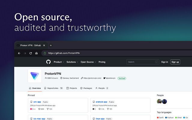 How to use the Proton VPN browser extension