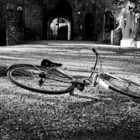 LA BICI DEL CASALE di 