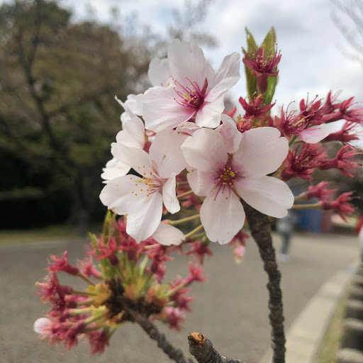 こーよう😇のプロフィール画像