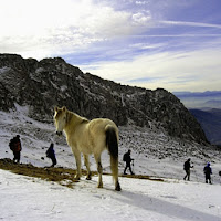 Monte Timo di 