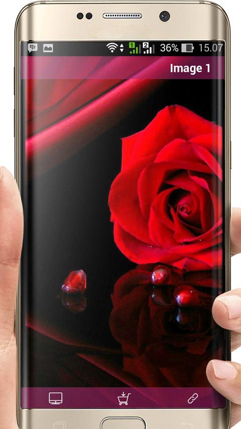 Rose Wallpaper HD Screen 3