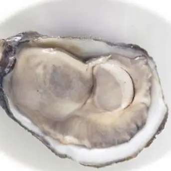 10 Best Oysters On The Half Shell Recipes Yummly