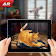 AR Pet Cat Simulator   icon