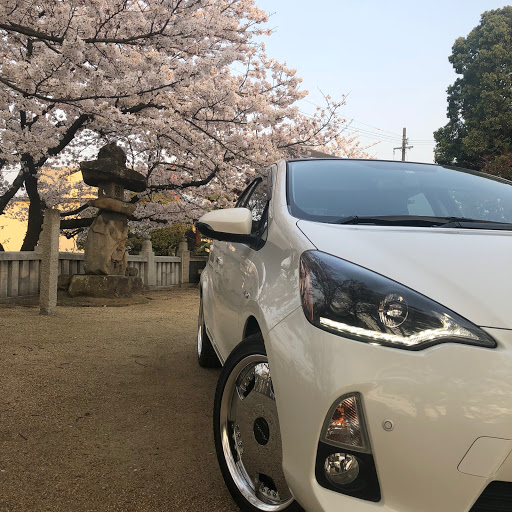 あくあ(のプロフィール画像