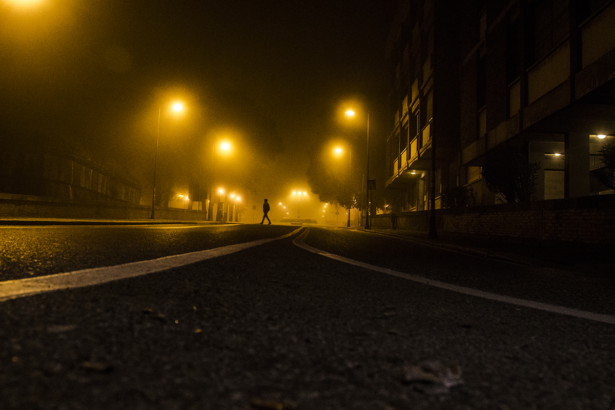 Nella Nebbia... di gattopisa