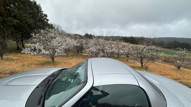 ロードスターの雨の中下見に…・春はもう少し…・天気が残念に関するカスタム事例の投稿画像7枚目