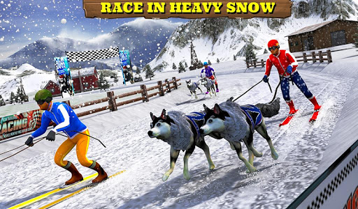 Sled Dog Racing 2017