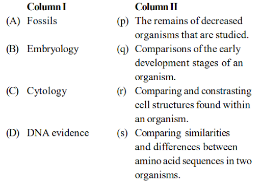 Evidence For Evolution : Homologous Organs, Analogous Organs And Fossils