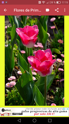 Bienvenida Primavera