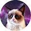 Grumpy Cat Wallpapers HD New Tab