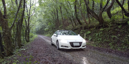 Cr Z Zf1の瀞川氷ノ山林道 林道アタックに関するカスタム メンテナンスの投稿画像 車のカスタム情報はcartune