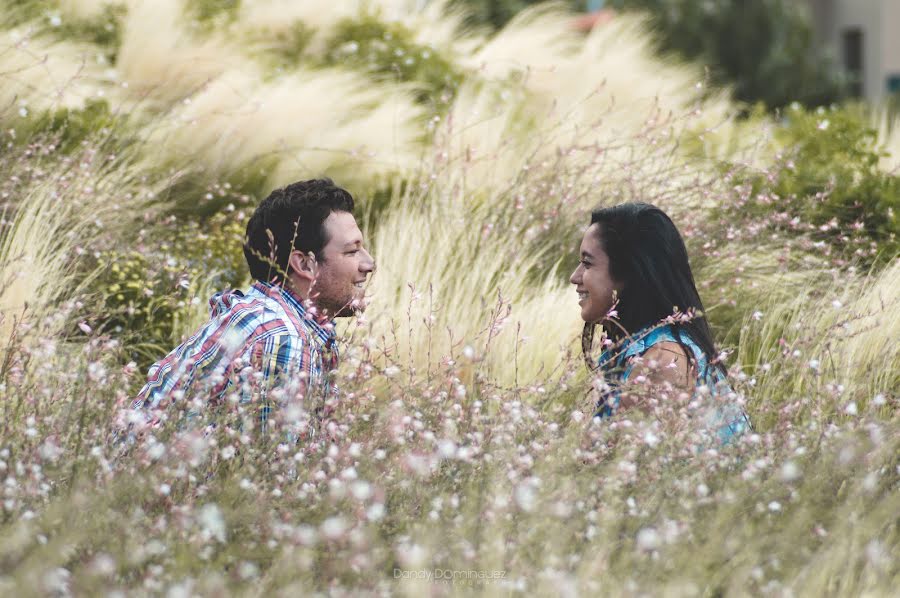 Pulmafotograaf Dandy Dominguez (dandydominguez). Foto tehtud 11 jaanuar 2016