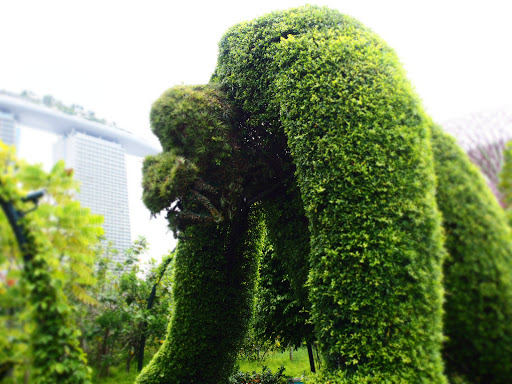 Plant Sculptures Of Animals