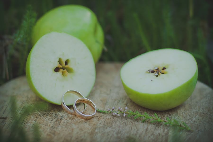 Photographe de mariage Veronika Lokotko (vero). Photo du 14 janvier 2015