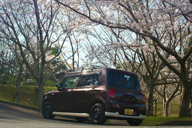 アルトラパンの桜と愛車・ラパンhe22s・ラパン乗りと繋がりたい・洗車・ケツ曜日に関するカスタム事例の投稿画像1枚目