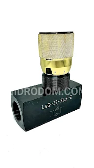 Гидродроссель с обратным клапаном LAG-12-0,05-G1/2 - 1