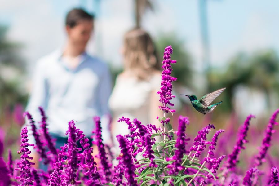 Hochzeitsfotograf Guilherme Bays (guilhermebays). Foto vom 1. April 2019