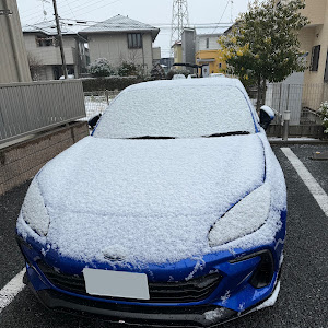 BRZ ZD8