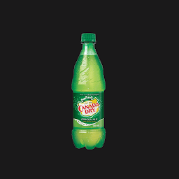 Canada Dry Bottle