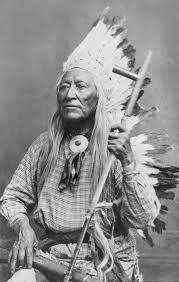 Image result for shoshone\