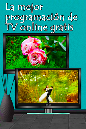 Canales Gratis TV Online - Trasmisión En Vivo Guía
