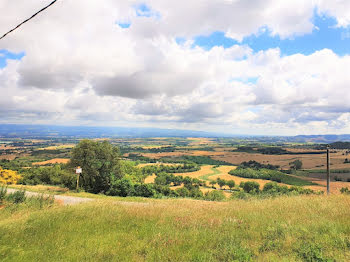 terrain à Fanjeaux (11)