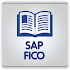 Learn SAP FICO1.0