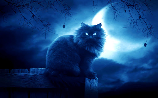 Cat Moon Live Wallpaper