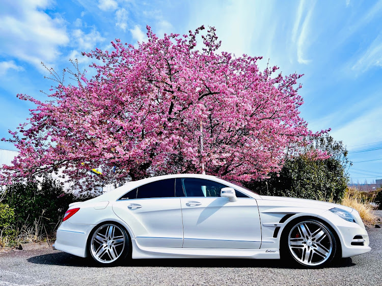 CLSクーペの河津桜・ロリンザー・花粉症・撥水より艶に関するカスタム事例の投稿画像3枚目