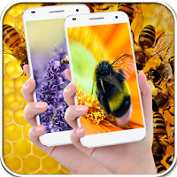 Honey Bee Wallpapers