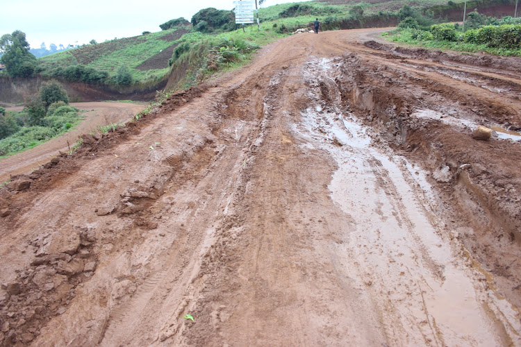 Huge trenches on the Mau Mau road project in Kiruri, Kangema, that have rendered the road impassible.