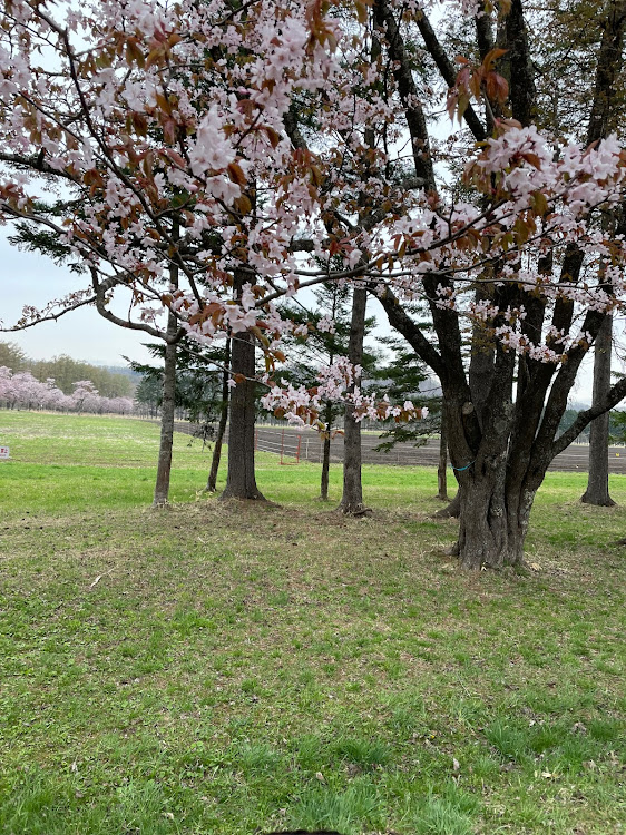 の投稿画像3枚目