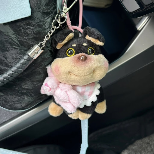 Title 3, Hat Bee Puppy Pendant Doll Keychain A cute plus...