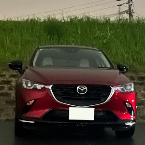 CX-3 DKLFY