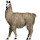 Llamas HD Wallpapers Animals New Tab Theme