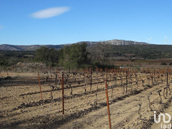 terrain à Fitou (11)