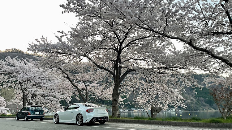 マーチのK11マーチ・86・サクラコラボ・ドライブ・春の交通安全週間に関するカスタム事例の投稿画像14枚目
