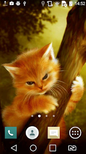 How to download Kitten on a tree live wp 1.0 mod apk for bluestacks