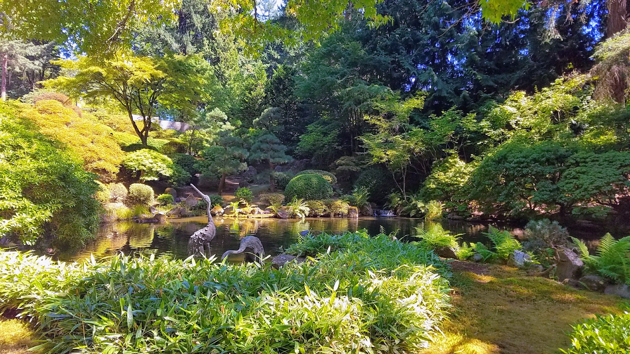 Visiting the Portland Japanese Garden - Strolling Pond Gardens. I cross the Moon Bridge from above by the Upper Pond with its crane sculptures which sometimes also are visited by real cranes.