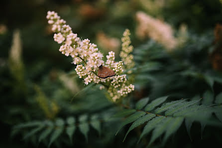 Kāzu fotogrāfs Joanna Zdancewicz (wildjasmine). Fotogrāfija: 28. oktobris 2021