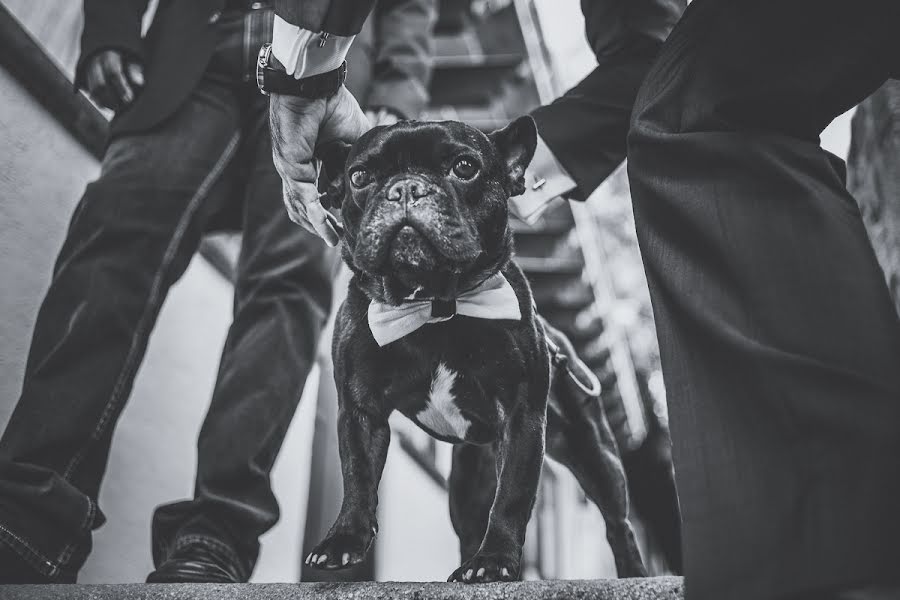 Fotógrafo de bodas Alfonso Ramos Photographer (alfonsoramos). Foto del 26 de diciembre 2015