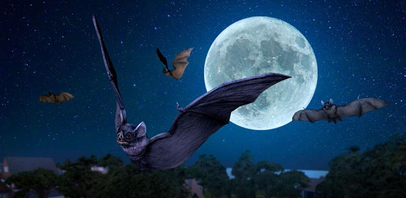 Wild Bat Simulator 3D