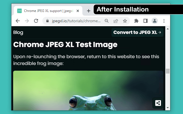 Add JXL support Preview image 1