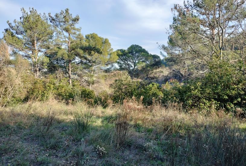  Vente Terrain + Maison - Terrain : 1 003m² - Maison : 148m² à Draguignan (83300) 