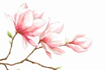 あの桃花が咲く木の下で、君とまた語りたい