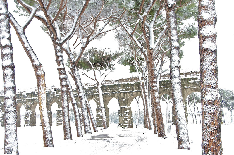 Nevicata storica! di anto70