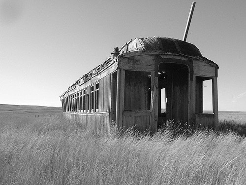 Campo di grano di maverik73