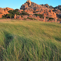 Sardegna e Mistral di 