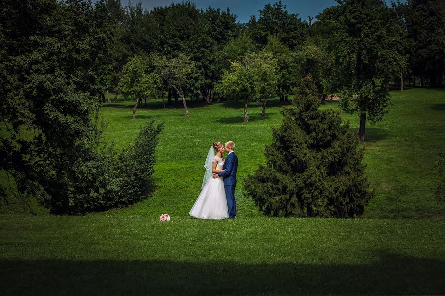 Wedding photographer Aleksandr Shapunov (ashpunt). Photo of 20 August 2016